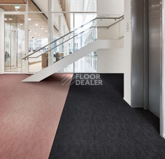 Forbo Flotex Colour Penang 50*50 t 382001 Penang Anthracite фото 2 | FLOORDEALER